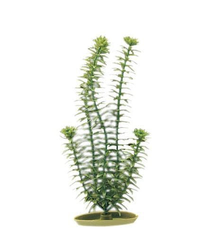 Marina Aquascaper Plastic Plants - Tank Pets