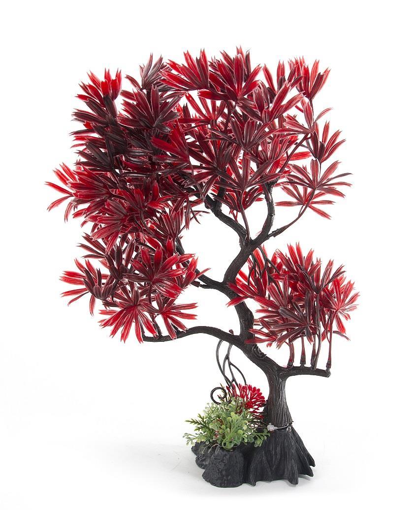 Aqua-Fit Japanese Maple Bonsai - Tank Pets