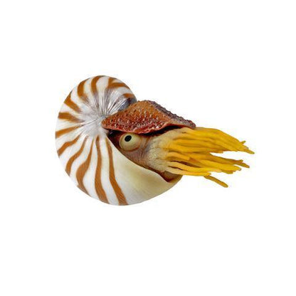 Aquatop Silicone Sea Creatures - Tank Pets