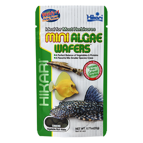 Hikari Mini Algae Wafers