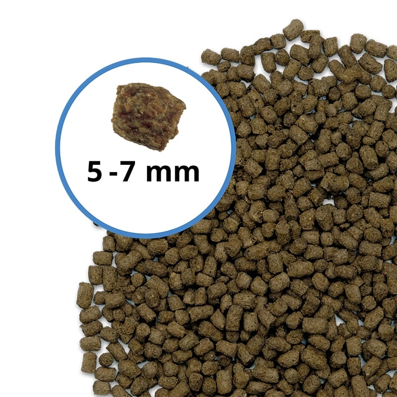 Fluval Bug Bites Cichlid Pellet Medium/Large