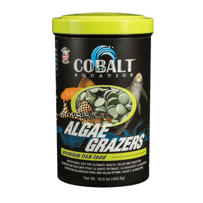 Cobalt Algae Grazers - Tank Pets