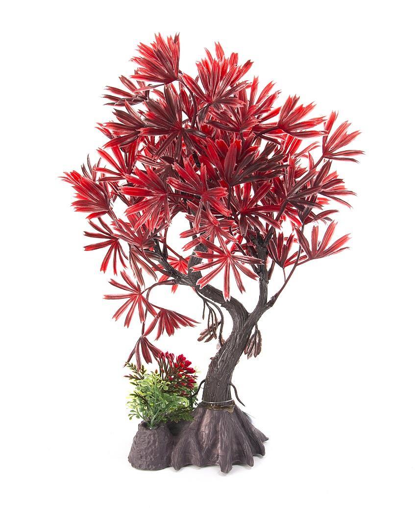 Aqua-Fit Japanese Maple Bonsai - Tank Pets