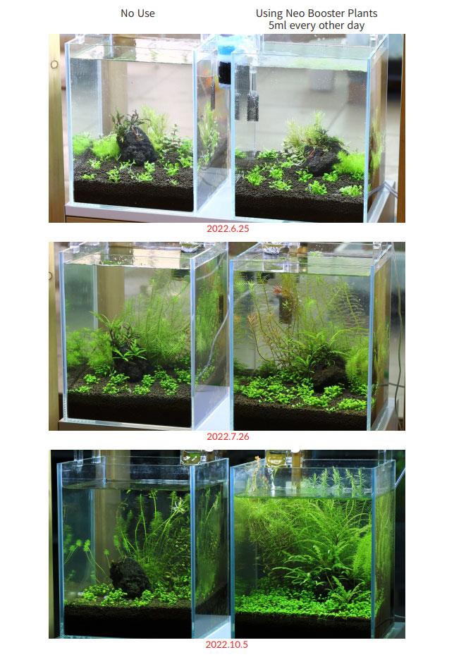 Aquario Neo Booster Plants