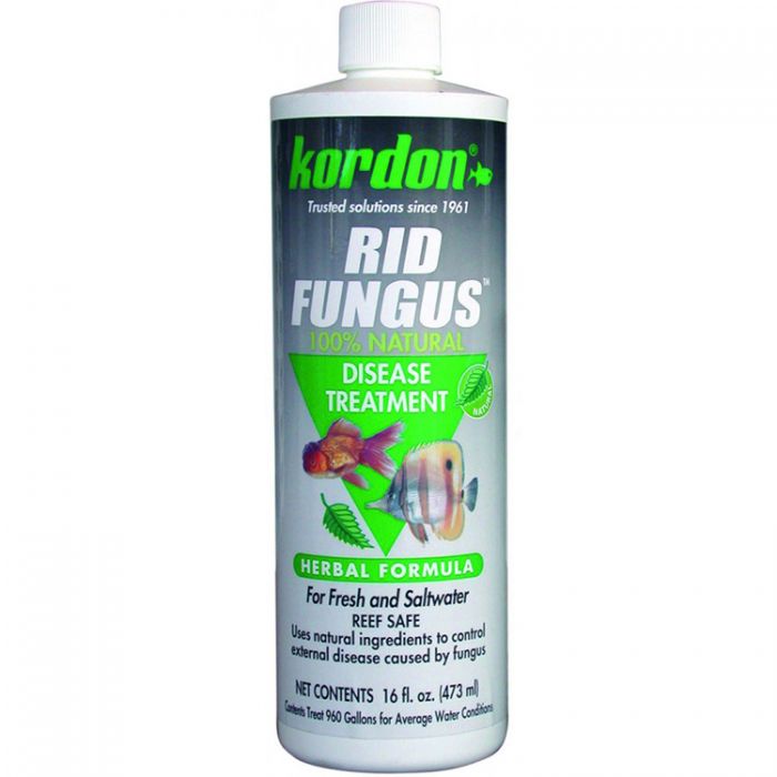 Kordon Rid Fungus