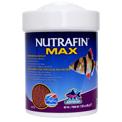 Nutrafin Max Medium Tropical Fish Pellets