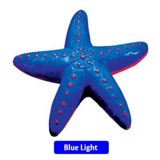 Tetra GloFish Sea Star