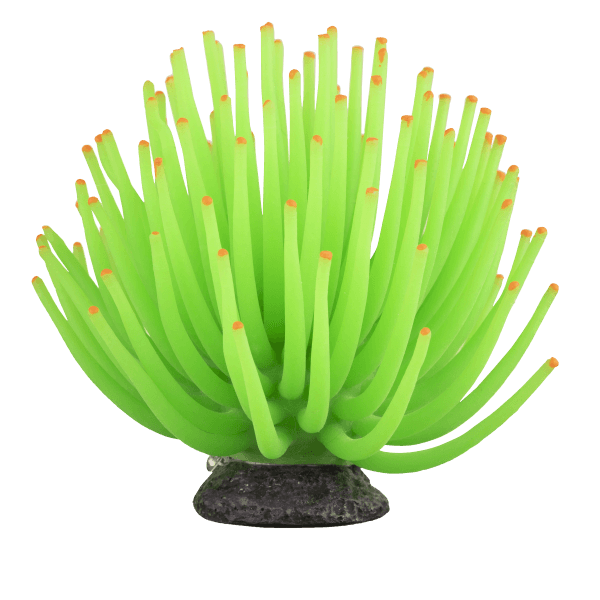 Tetra GloFish Anemone - Tank Pets