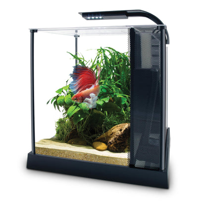 Fluval Premium Betta Kit