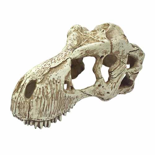 Komodo T-Rex Skull Ornament | ZZZZ