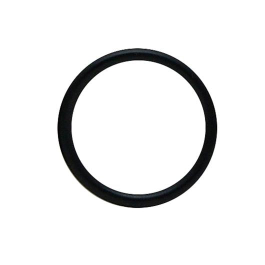 AquaClear Replacement Seal Ring