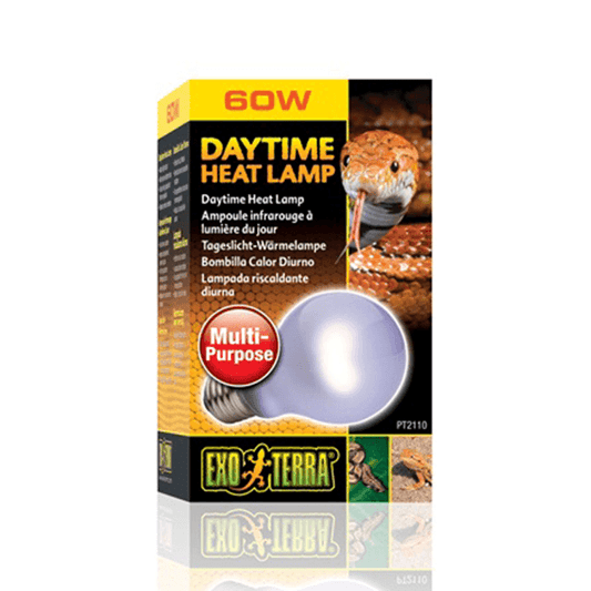 Exo Terra Daytime Heat Lamp - 60 W