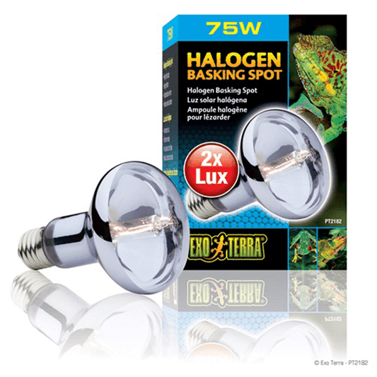 Exo Terra Halogen Basking Spot - 75 W