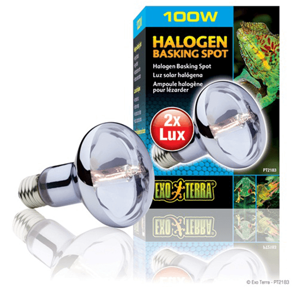 Exo Terra Halogen Basking Spot - 100 W