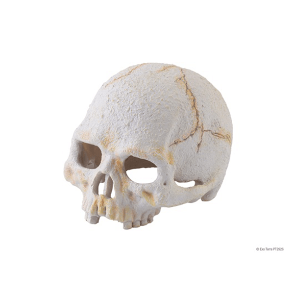 Exo terra Primate Skull Hide - Small