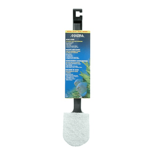 Marina Algae Scrubber with Plastic Handle - Medium