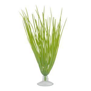 Marina Betta Hairgrass Plant with Suction Cup