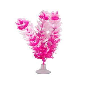 Marina Betta Plant Foxtail with Suction Cup