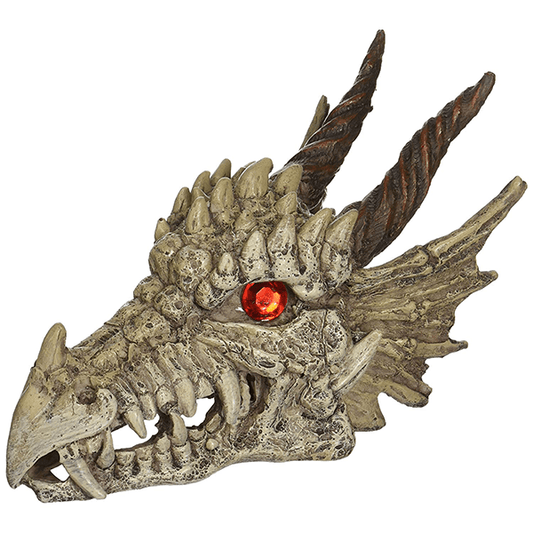 Penn Plax Dragon Skull Gazer