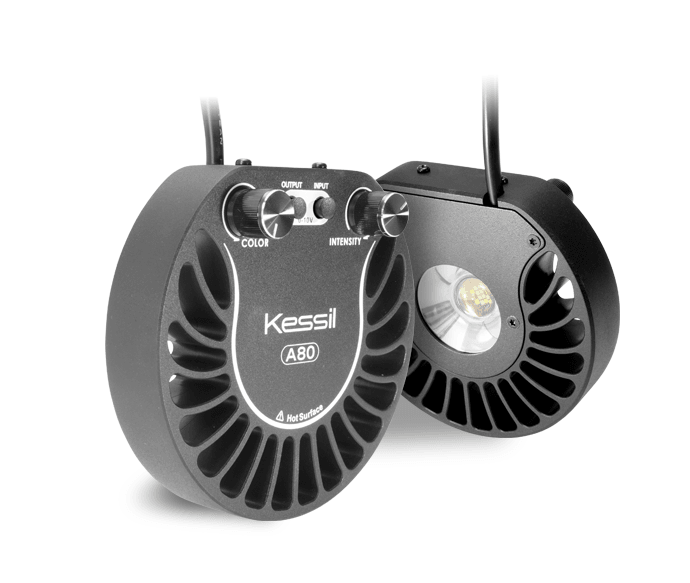 Kessil Tuna A80