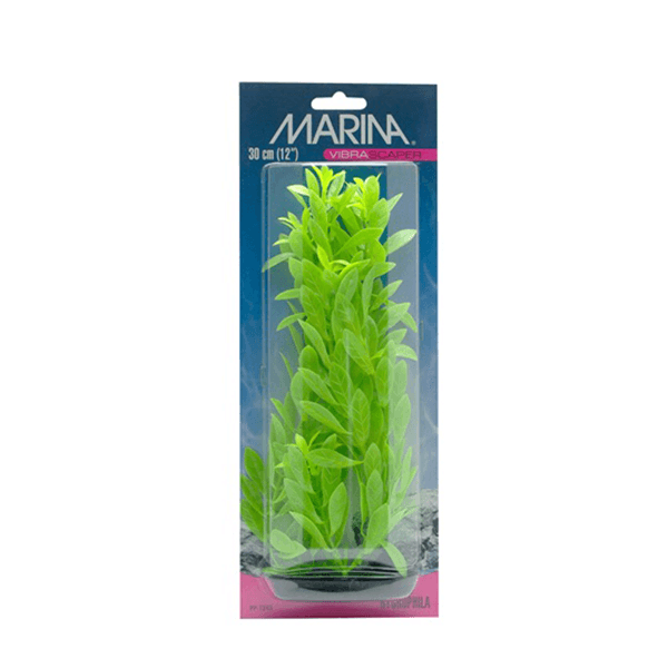 Marina Vibrascaper Hygrophila Plant - 30 cm