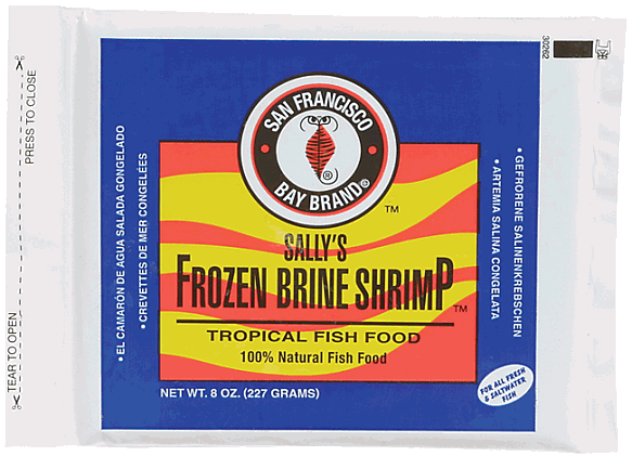 San Fransisco Frozen Brine Shrimp Flat 8oz