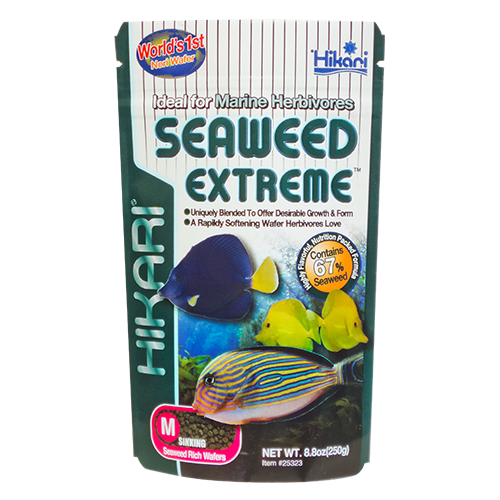 Hikari Seaweed Extreme - Medium Sinking Wafer 250g