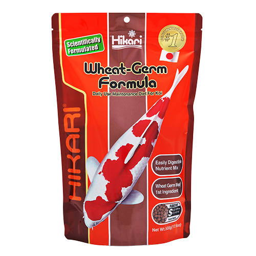 Hikari Wheat-Germ Formula - Small Floating Pellet