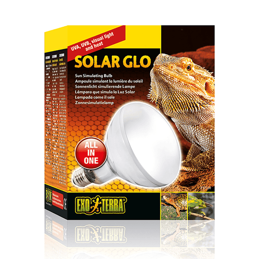 Exo Terra Solar Glo