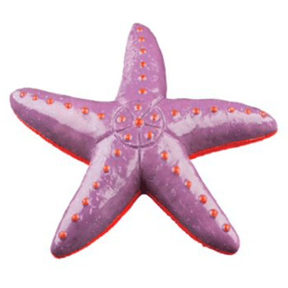 Tetra GloFish Sea Star