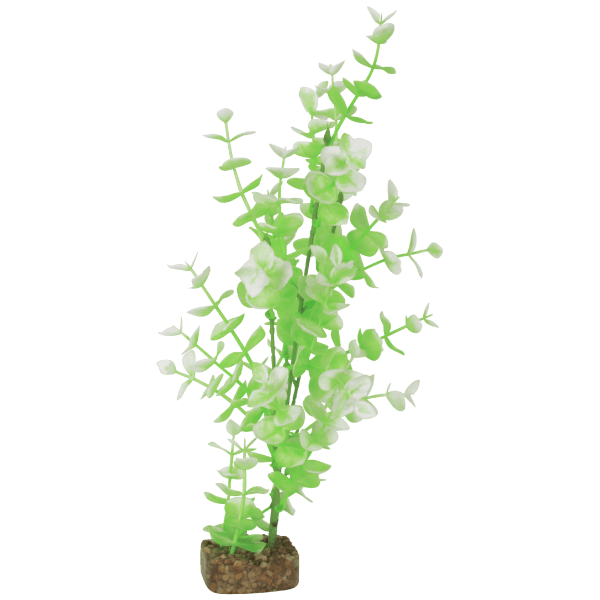 Tetra GloFish Large Green/White Plant