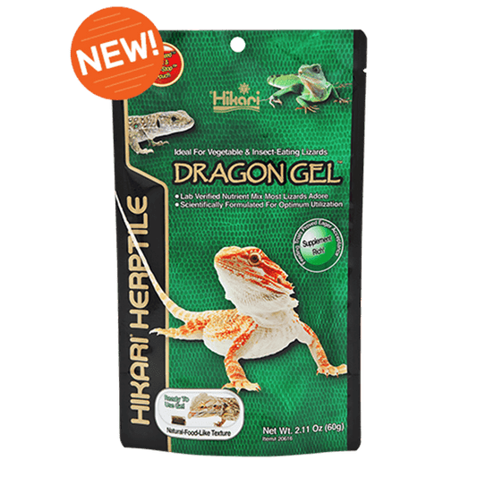 Hikari Dragon Gel - 60 g