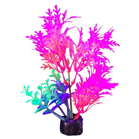 Marina iGlo Plant 14 cm (5.5 in)