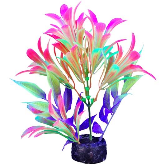 Marina iGlo Plant 14 cm (5.5 in)