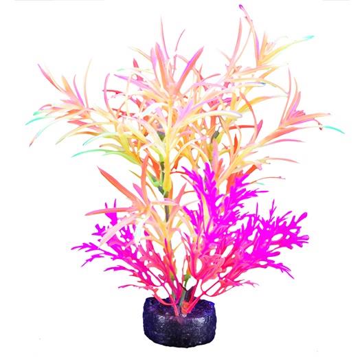 Marina iGlo Plant 14 cm (5.5 in)