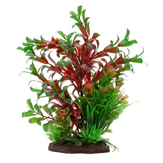 Fluval Aqualife Red Ludwigia/Dwarf Sagittarius Plant Mix