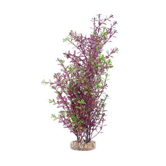 Fluval Aqualife Plant Red Rotala