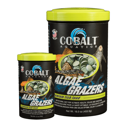 Cobalt Algae Grazers