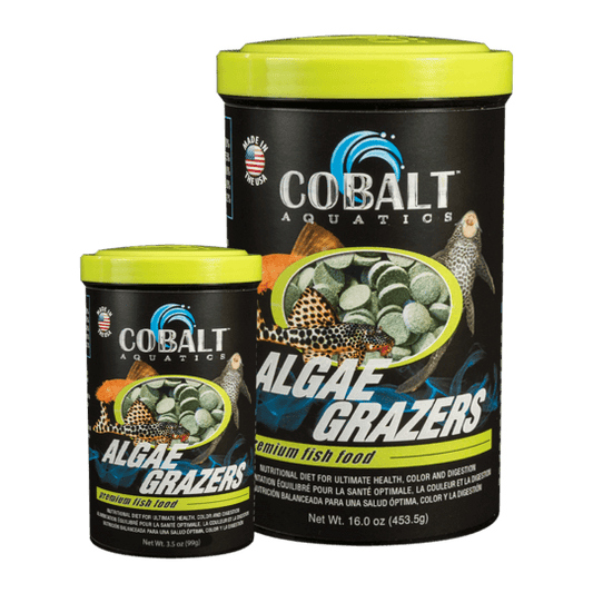 Cobalt Algae Grazers