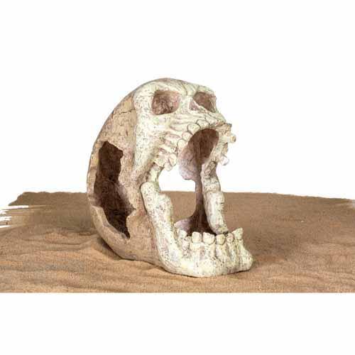 Penn Plax Reptology - Skull Hideaway X-Large