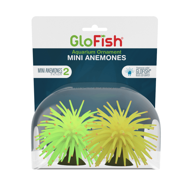 Tetra GloFish Anemone - Tank Pets