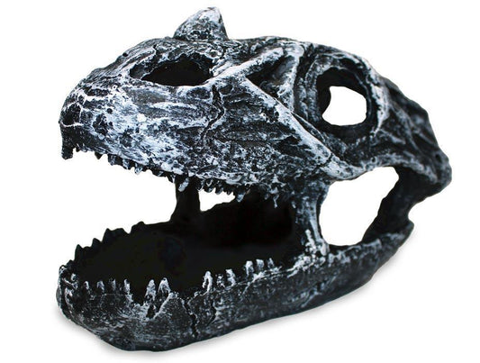 Pangea Dinosaur Skull Cave