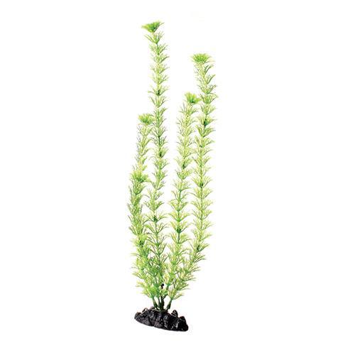 Underwater Treasures Green Cabomba 16"