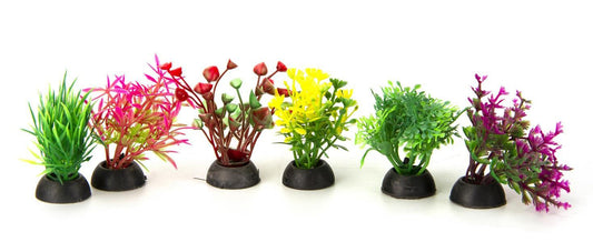 Aqua-Fit Assorted Plant Variety Pack