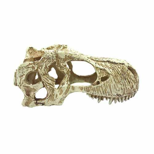 Komodo T-Rex Skull Ornament | ZZZZ