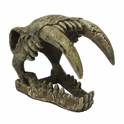 Komodo Saber Tooth Skull Ornament