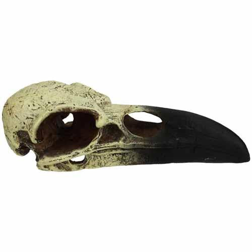 Komodo Raven Skull Ornament