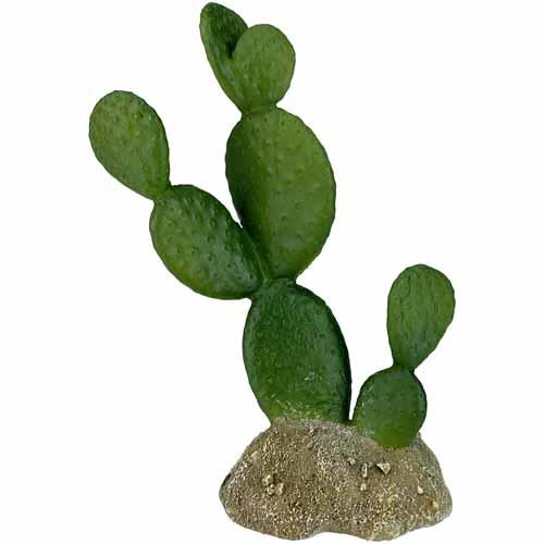 Komodo Prickly Pear Cactus Ornament