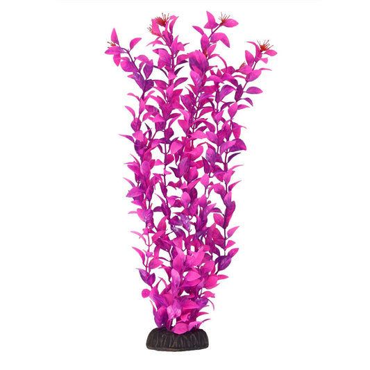 Underwater Treasures Ludwigia - Pink - 16"