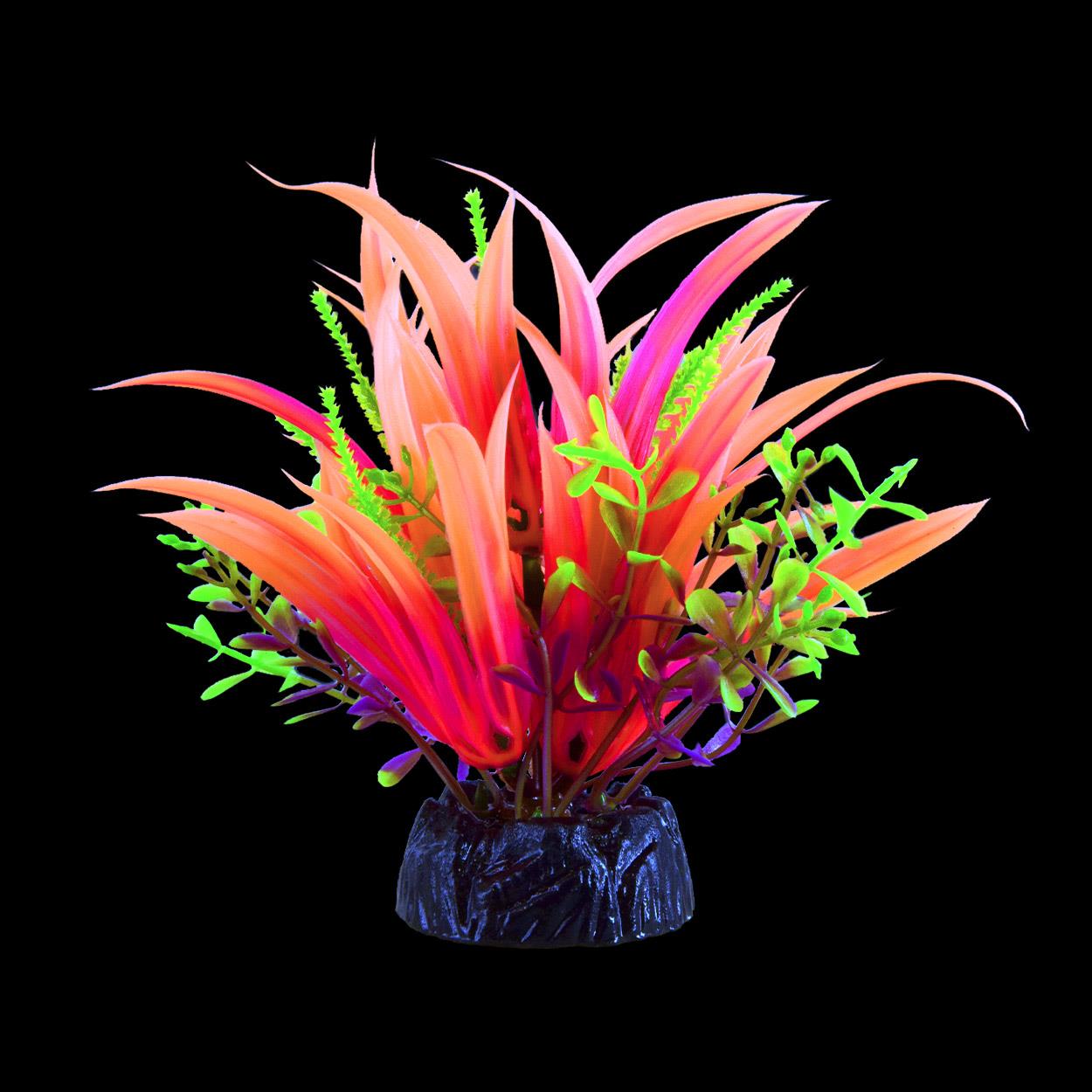 Underwater Treasures Glow Plants - Pink Small Japonica